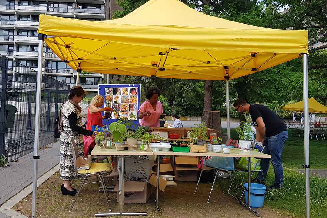 Sunis organisiert einen Pflanzenflohmarkt mit selbstgezogenen Pflanzen