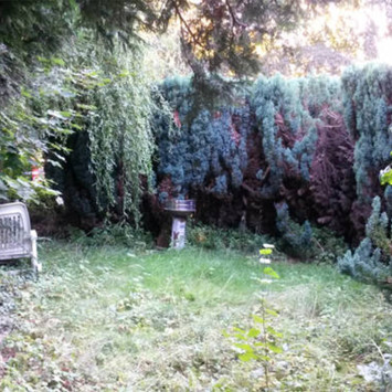 So sah der Garten von Nachbarin Hilla vor einem Jahr noch aus (Bild: privat)