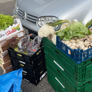 Kistenweise Grünzeug und Pilze – die Vielfalt der geretteten Lebensmittel ist groß! (Bild: privat)