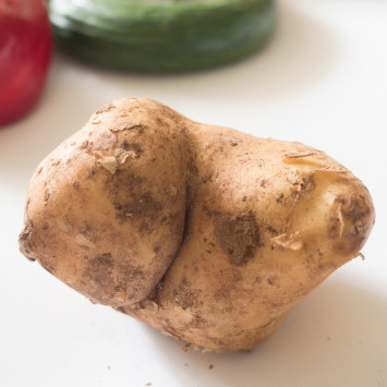 Krumme Kartoffel (Bild: SIRPLUS)
