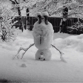 Alles steht Kopf – auch der Schneemann (Bild: privat)