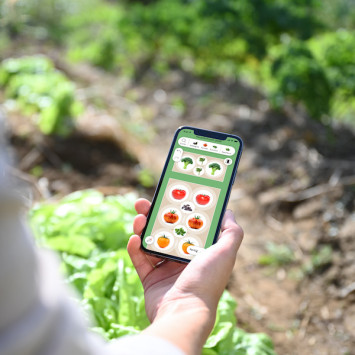 Ein Smartphone wird vor die Kamera gehalten, auf dem die Planung eines Gemüsebeets mithilfe der App Fryd zu sehen ist.