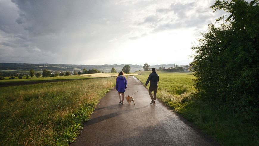 Zwei Personen gehen mit einem Hund auf einem Feldweg spazieren.
