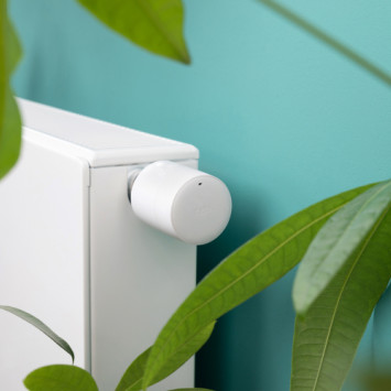 Heizung mit smartem Thermostat vor blauer Wand und neben Pflanzen.