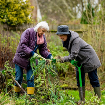 Ältere Frauen schauen gemeinsam im Garten Lauch aus der Erde an.